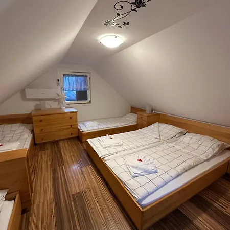 Madeira House - Terme Catez Apartment Catez ob Savi