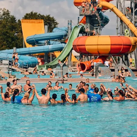 Madeira House - Terme Catez Apartment Catez ob Savi