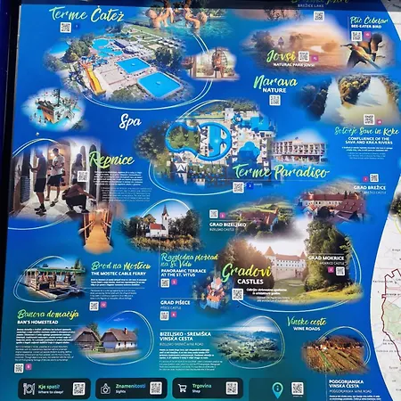 Apartment Madeira House - Terme Catez