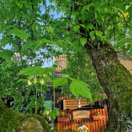 Apartamento Madeira House - Terme Catez Catez ob Savi