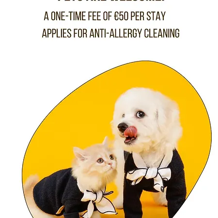 Madeira House - Terme Catez Appartement