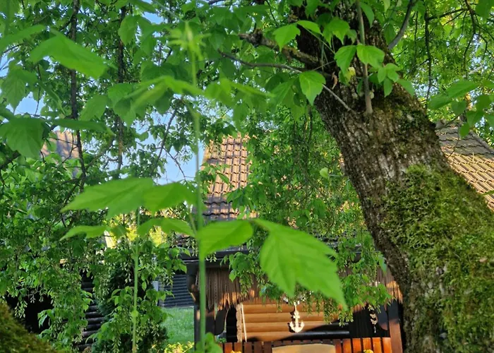 Lejlighed Madeira House - Terme Catez Catez ob Savi